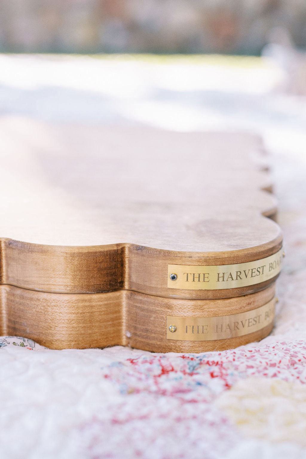 Heritage Edition Two Foot Scallop