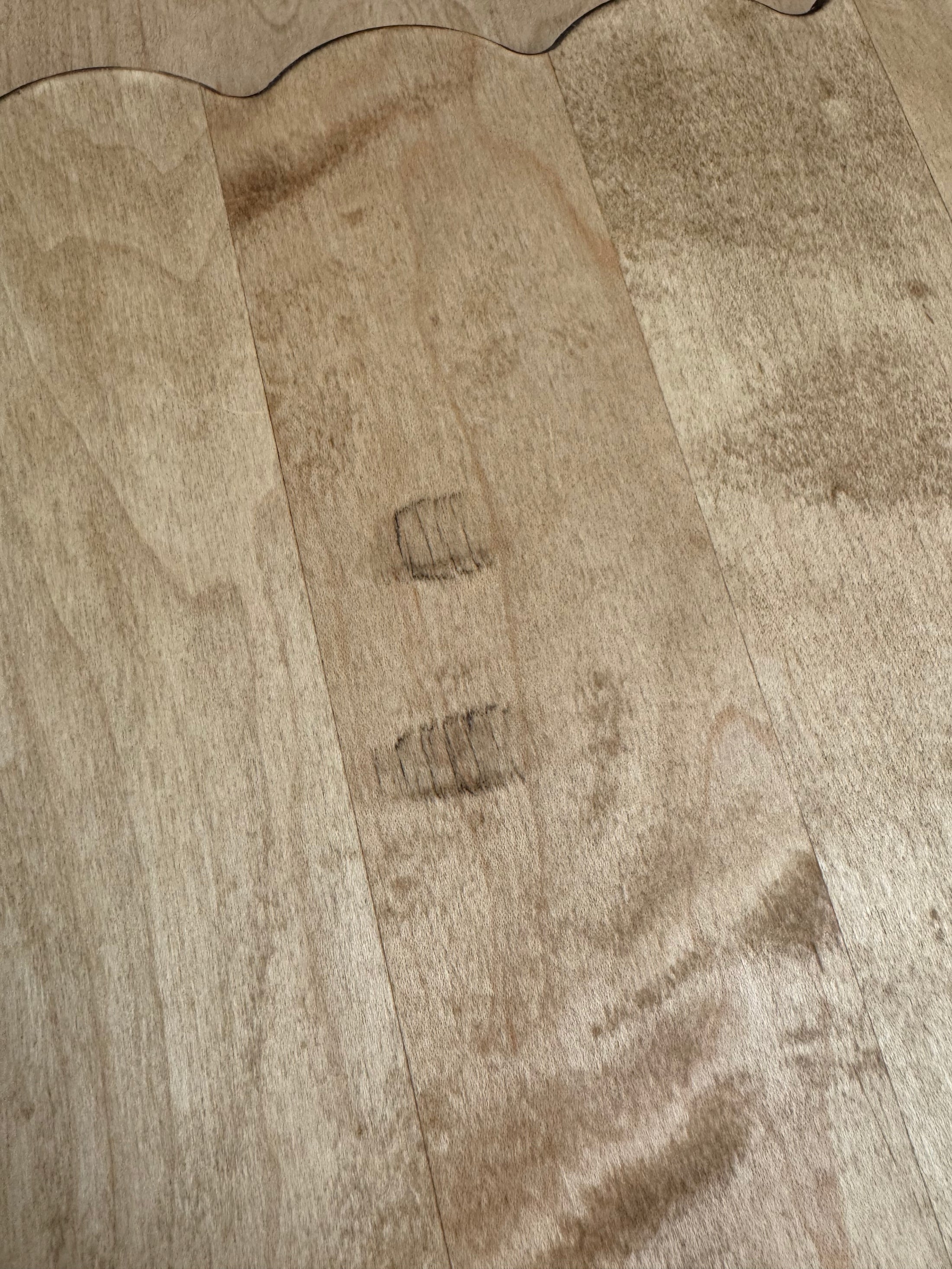 Warehouse Sale Two Foot Scallop Harvest Board - 25% OFF